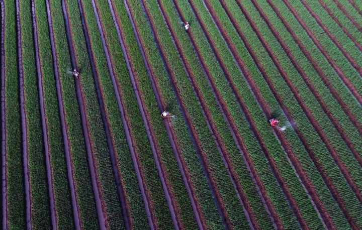 NasDem Dorong Pemerintah Perluas Lahan Pertanian