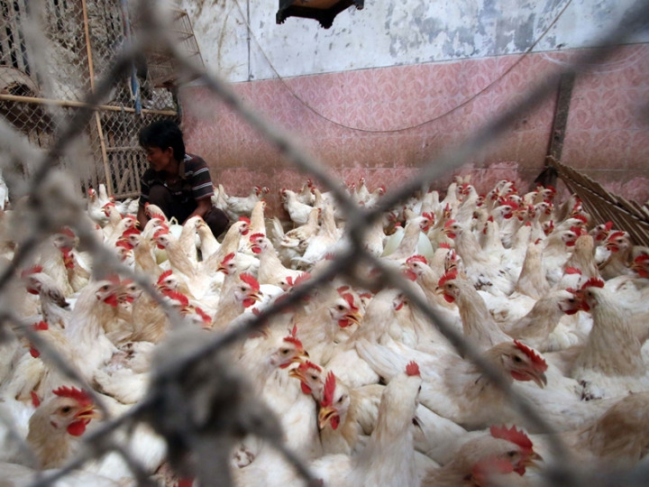 Harga Telur dan Daging Ayam Susah Dikendalikan