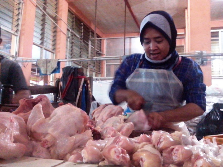 Charoen Pokphand Siap Bantu Tekan Harga Daging Ayam