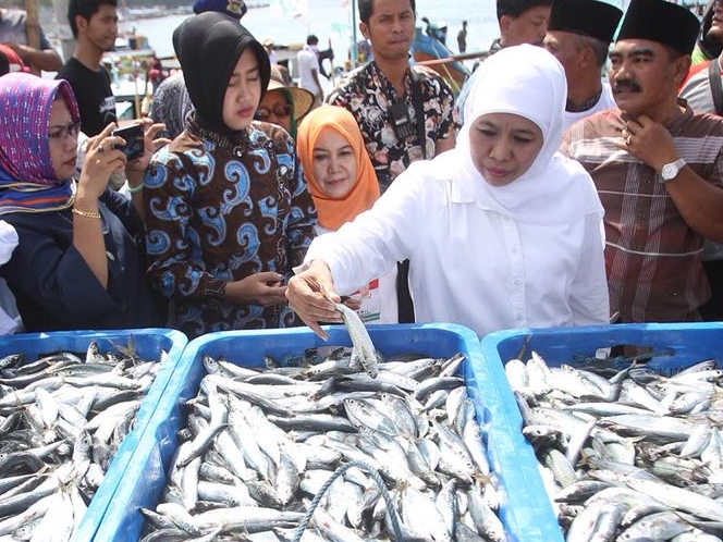 Sendang Biru Harus Punya Pengolahan Sarden dan Salmon