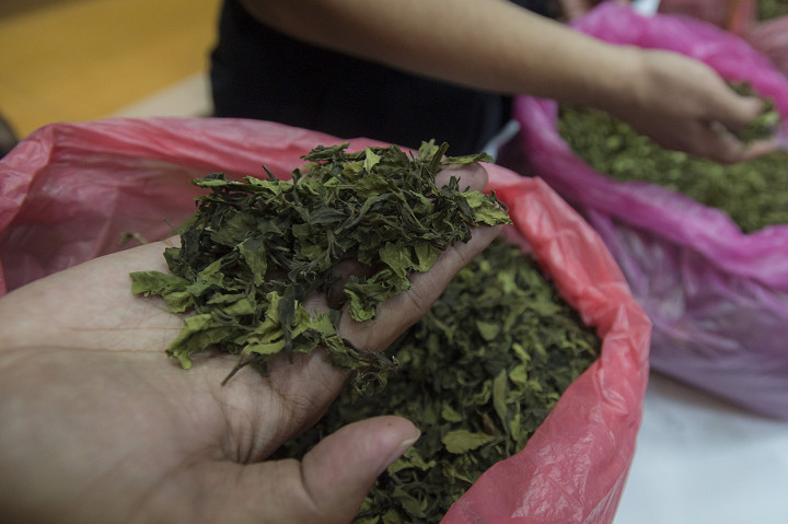 BNN Gagalkan Penyelundupan 68 Kg Katinon dan Ribuan Ekstasi