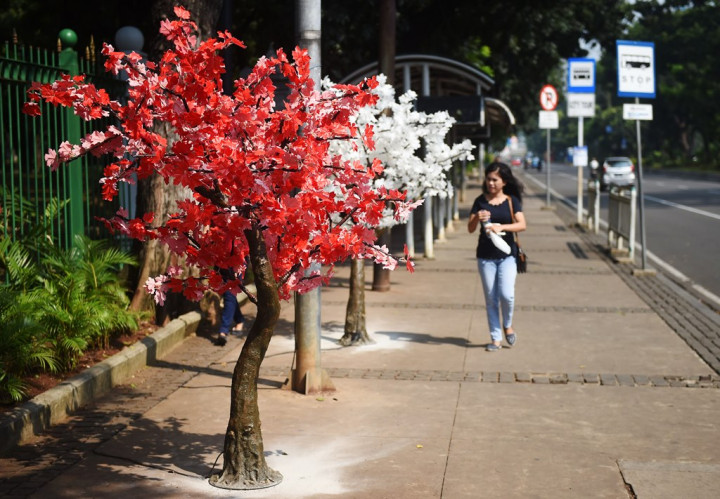 Anies tak Pernah Beri Izin Pemasangan Pohon Hias
