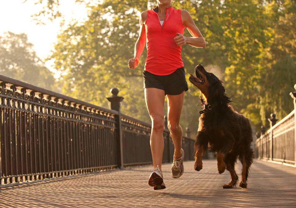 Tips Joging Bersama Hewan Peliharaan (Foto: istock)