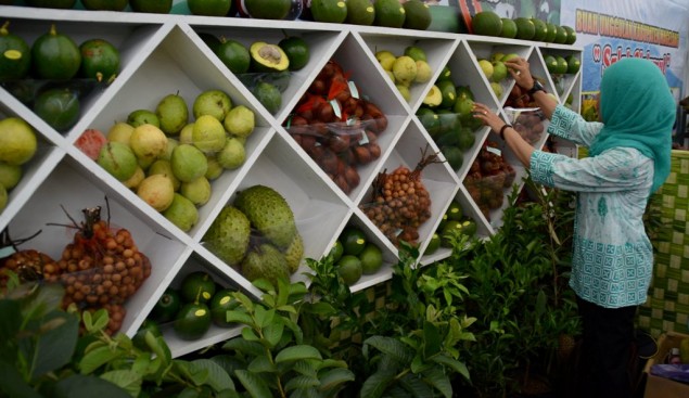 Lacking vitamin C Could Trigger These Health Issues