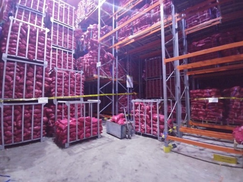 Kemendag Amankan 670 Ton Bawang Bombay Impor di Medan