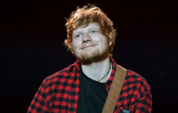 Pendirian Kapel Pribadi Ed Sheeran Ditunda karena Kadal Langka