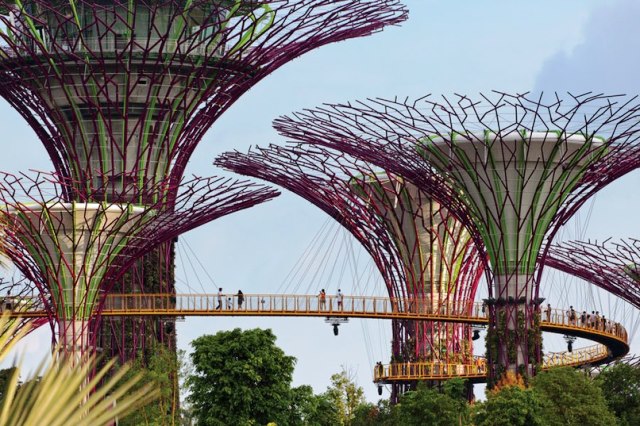 Garden by the Bay dirancang arsitek Inggris Wilkinson Eyre dan arsitek lansekap Grant Associates. Craig Sheppard Photo