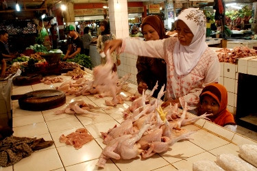 Harga Ayam Potong di Depok Melambung