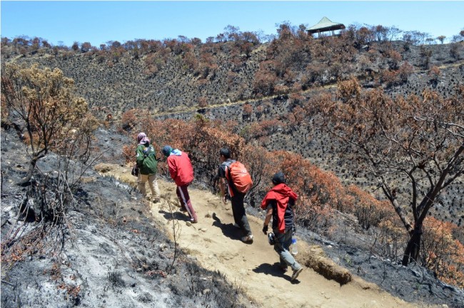 Jalur Pendakian Gunung Lawu Ditutup