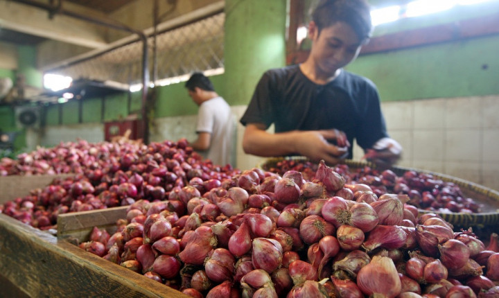 IKAPPI Ungkap Penyebab Harga Bawang Melambung