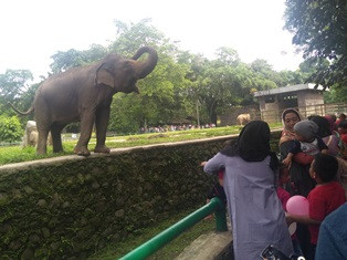 Masuk Ragunan tak Gratis