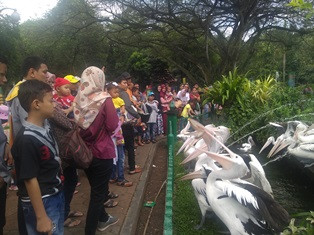 Libur Pilkada, Pengunjung Ragunan Turun 50%