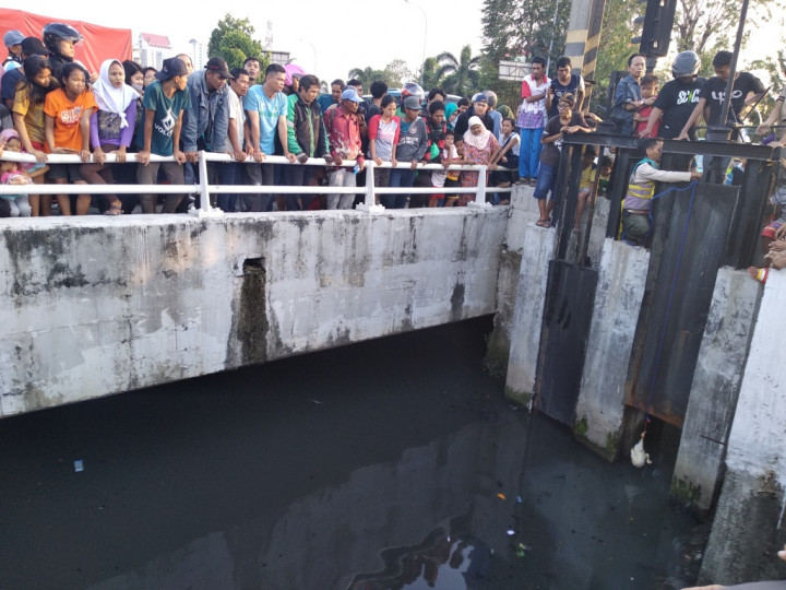 Buaya Dipancing Keluar Pakai Ayam