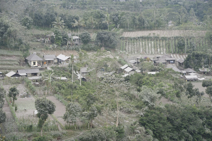 Pengungsi di Lereng Gunung Agung Berangsur Pulang