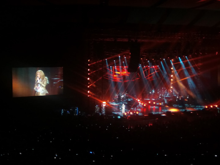 Konser di Indonesia, Celine Dion Mengharapkan Kedatangan Pink