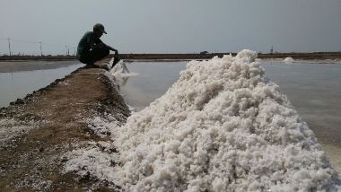 Baru Panen, Harga Garam di Cirebon Merosot