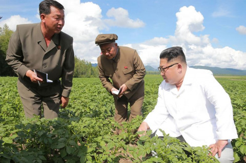 Kim Jong-un mendatangi sebuah pertanian kentang dan mengabaikan