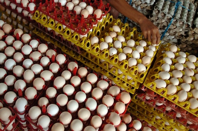 Imbas Penguatan Dolar, Harga Telur Sentuh Rp30 Ribu/Kg