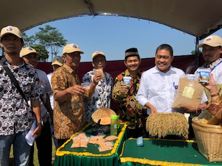 Dirjen PKT: Dana Desa untuk Penangkaran Benih Unggul Pertanian