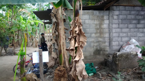 Terduga Teroris Yogyakarta Berjualan Busur Panah