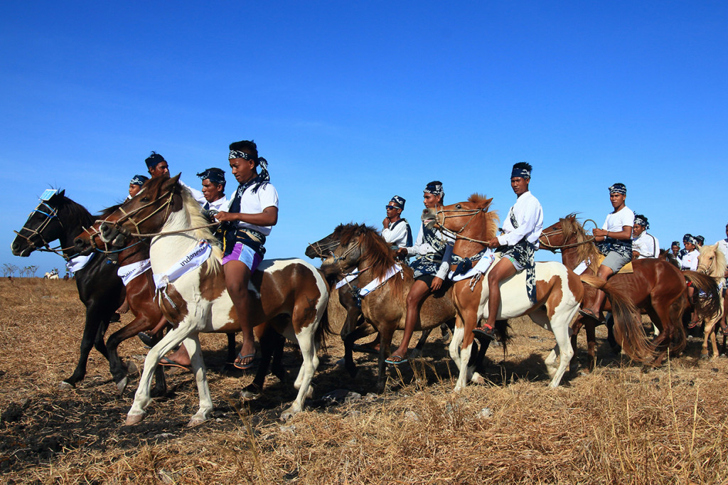 Melihat Parade 1001 Kuda Sandelwood di Sumba
