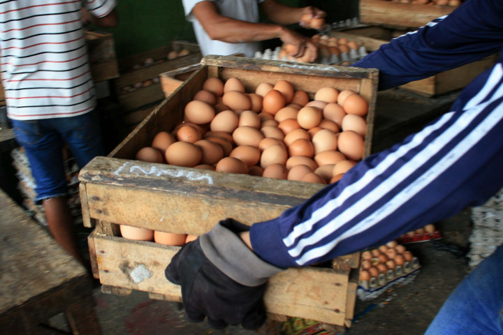 Kenaikan Harga Telur Ayam karena Turunnya Produktivitas