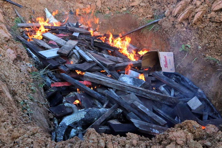 Ratusan Buaya yang Dibantai Warga Dikubur