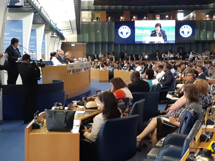 Pemerintah Upayakan Pembangunan Berkelanjutan lewat Pengelolaan Hutan