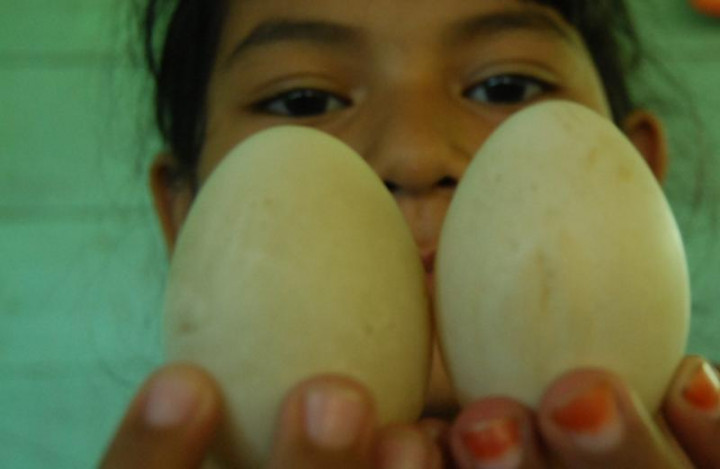 Harga Telur Naik, Mendag: Pelaku Usaha Jangan Ambil Untung!