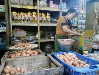 Mulai Turun, Telur Ayam Masih Sepi Pembeli