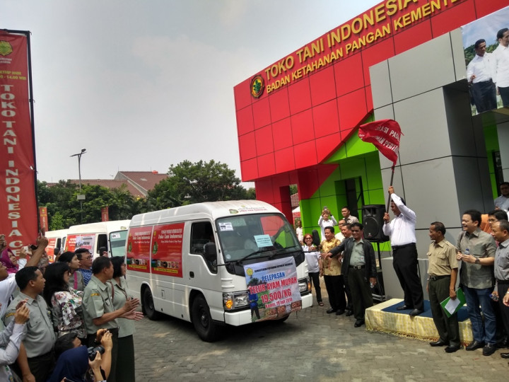 Kementan Gelar Operasi Pasar Telur Murah Seharga Rp19.500/Kg
