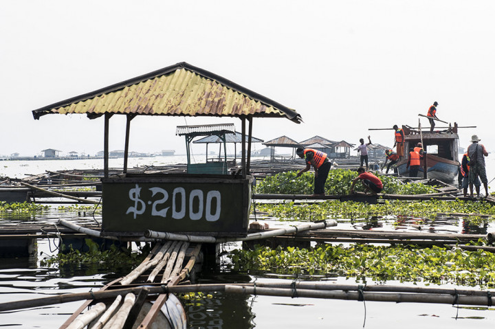 Ratusan Petak Keramba Jaring Apung Waduk Cirata Ditertibkan