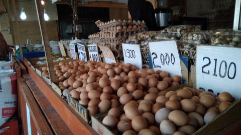 Harga Telur di Sulut Rp51 Ribu per Baki