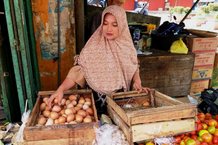 Pemkab Jepara pasok Telur dari Jawa Timur