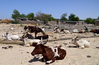 Pasukan Niger Klaim Bunuh 10 Militan Boko Haram