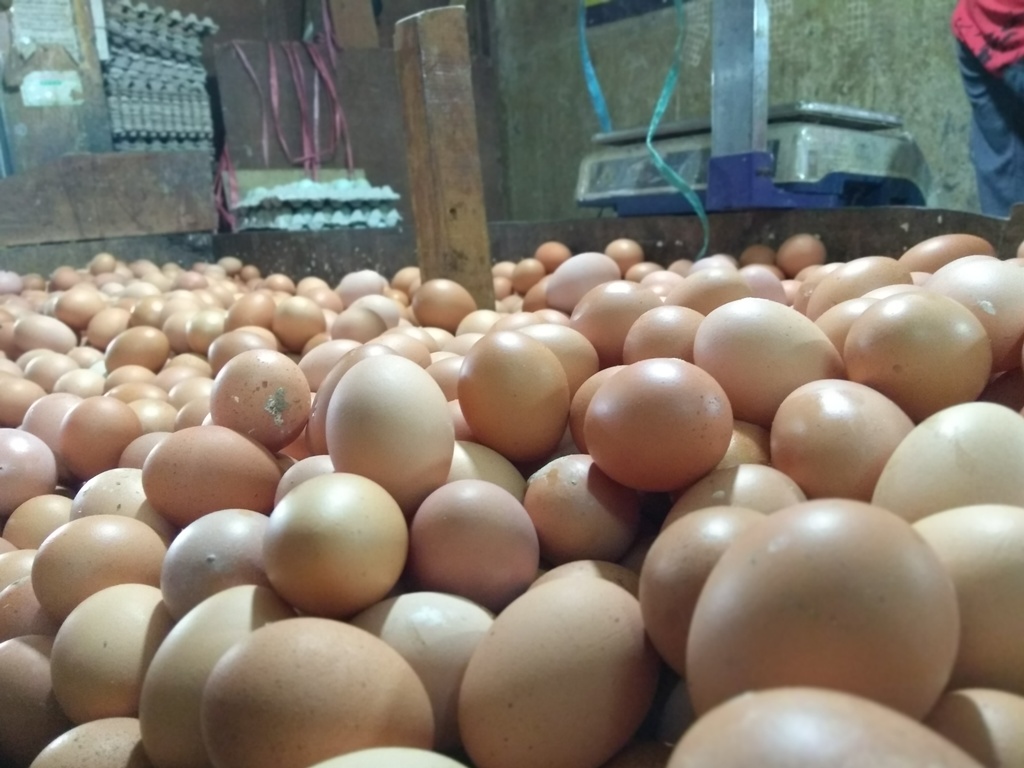 Ilustrasi pedagang telur di pasar induk Kramat Jati. (Foto: Medcom.id/Kautsar Widya Prabowo).