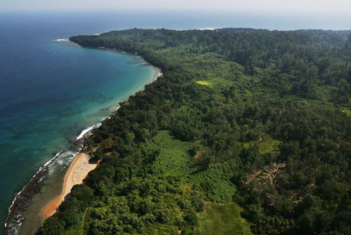 Keanekaragaman Hayati sebagai <i>Mainstream</i> Pembangunan