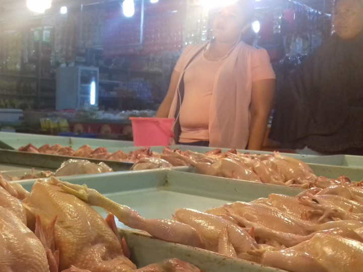 Harga Daging Ayam di Tanjungpinang Melejit