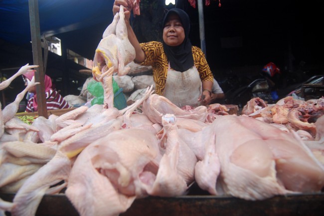 Harga Ayam di Lhokseumawe Rp40 Ribu/Kg