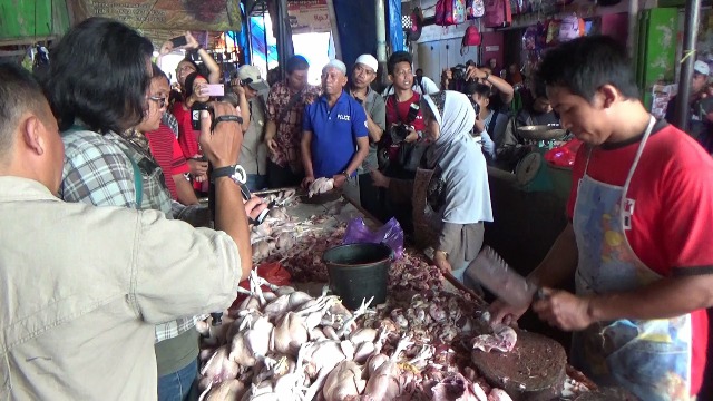 Harga Daging Ayam di Makassar Dianggap Masih Wajar