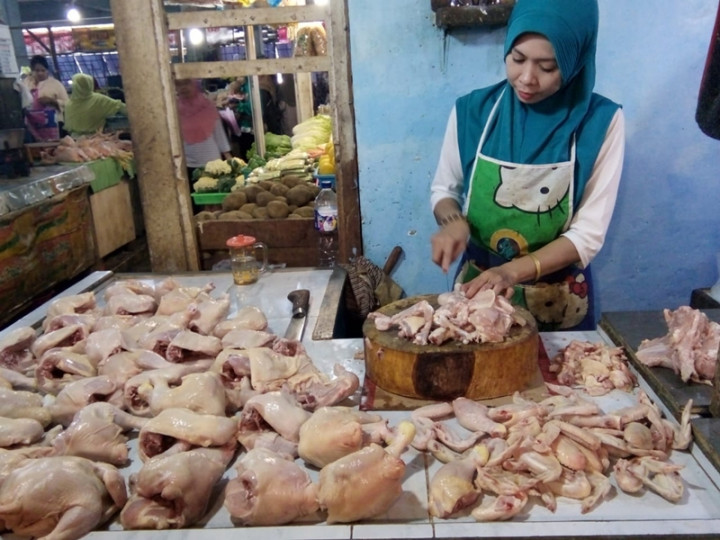 Harga Daging Ayam di Jember Capai Rp42 Ribu/Kg