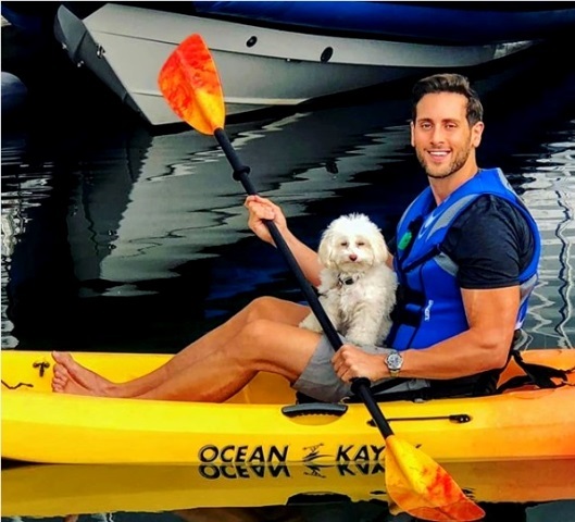 Alasan Anjing Tak Senang Dielus Kepalanya