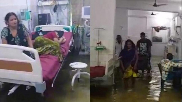 Kebanjiran, Rumah Sakit di India Dipenuhi Ikan