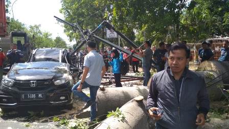 Pohon Tumbang di Cirebon Tewaskan Pengendara Motor
