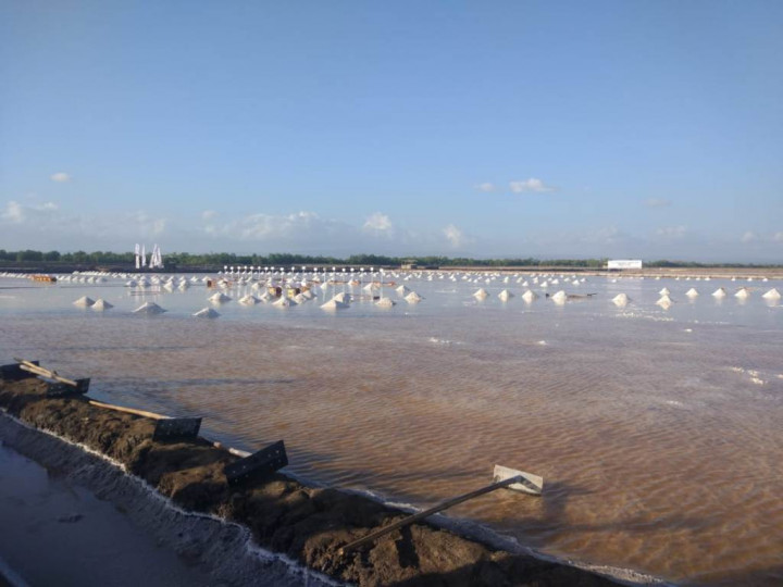 Panen di NTT, Menteri BUMN Ingin Swasembada Garam