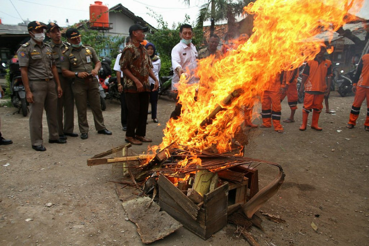 Indonesia Kenalkan Sistem Pengawasan Flu Burung ke ASEAN