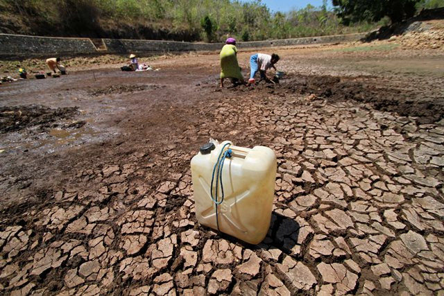 Warga Gunungkidul Mengais Air dari Pipa PDAM yang Bocor