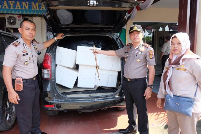 Polisi Resmi Tetapkan Empat Tersangka Penyelundupan 108 Ribu Bibit Lobster