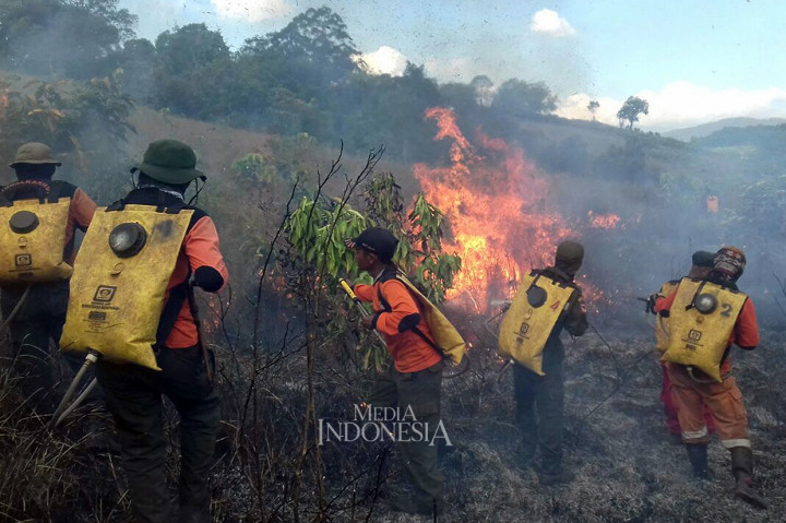 Ribuan Hektare Lahan di Kalimantan Selatan Terbakar