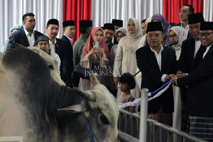 Jusuf Kalla Serahkan Sapi Kurban di Istiqlal